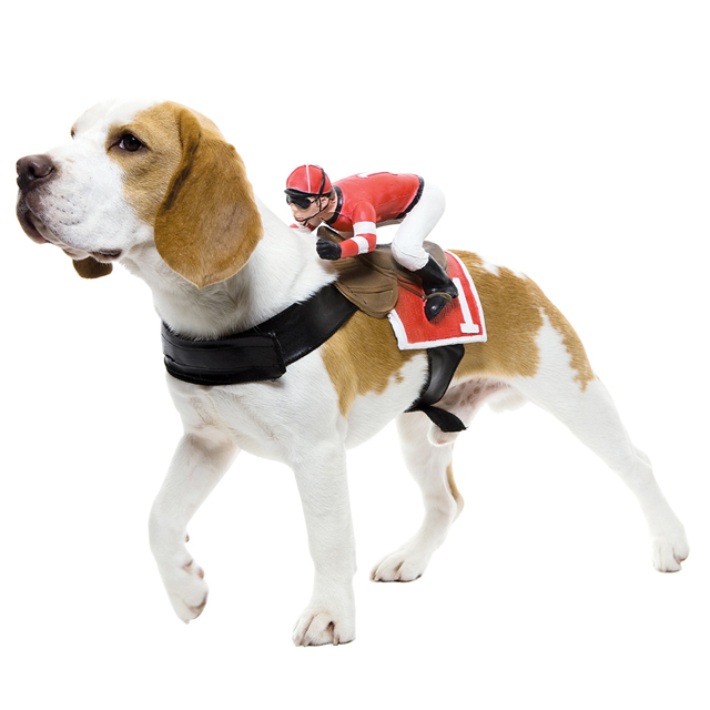 Dog Riders Jockey Costume