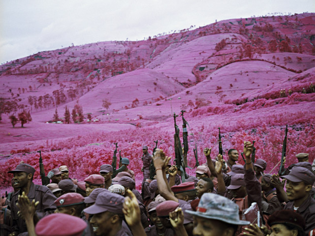 Infra by Richard Mosse