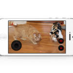 Petcube