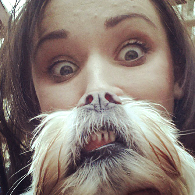 Dog Beards, A Canine Equivalent of the Photo Meme ‘Cat Beards’