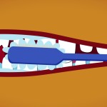 How Toothpaste Makes Orange Juice Taste Bad by Bytesize Science