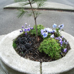 Mill Ends Park