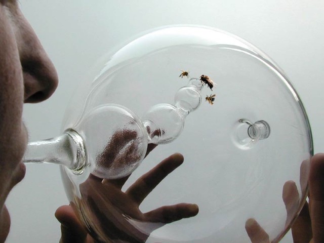 Susana Soares Trains abeilles pour détecter la maladie dans le souffle d'une personne