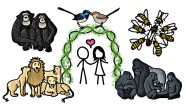 Monogamy Among Animals As Examined By MinuteEarth