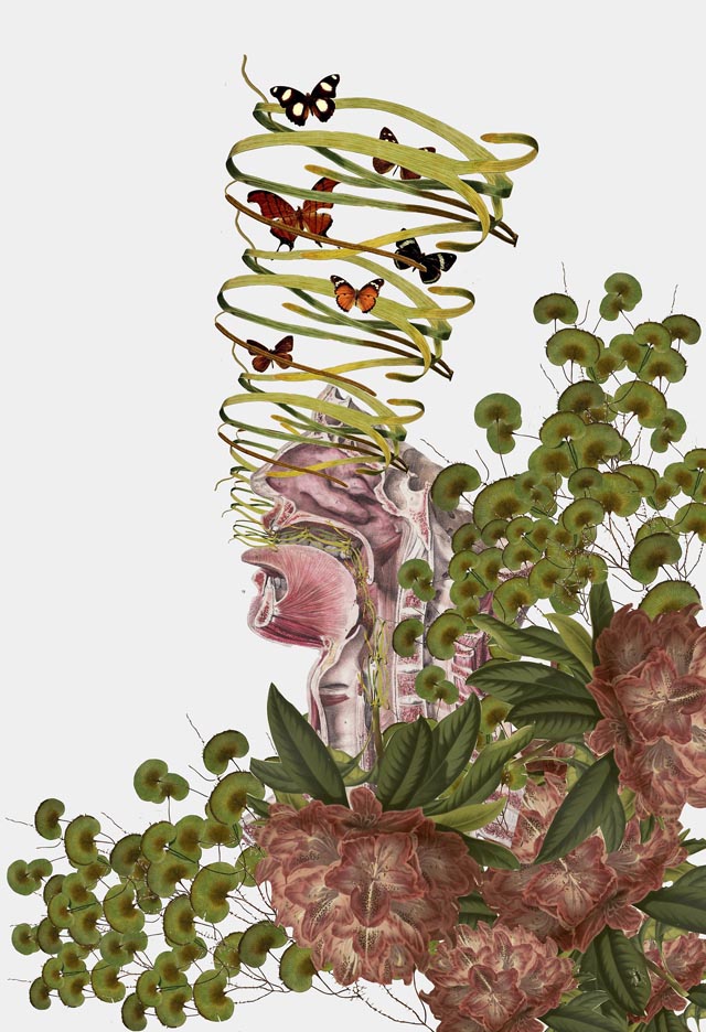 Surreal Anatomical Collages by Travis Bedel