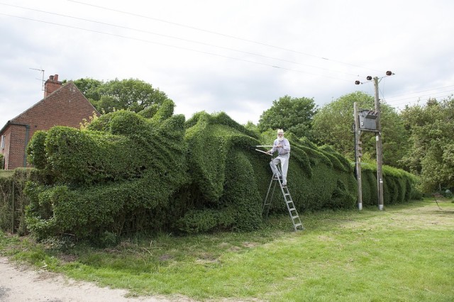 Massive Dragon Hedge Topiary