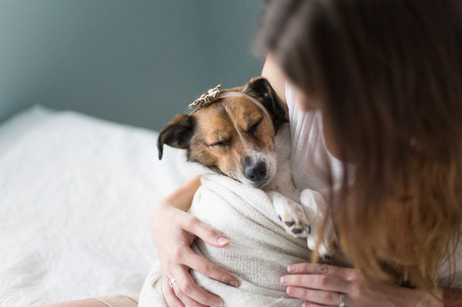 Doggy Newborn Photos by Jamie Clauss