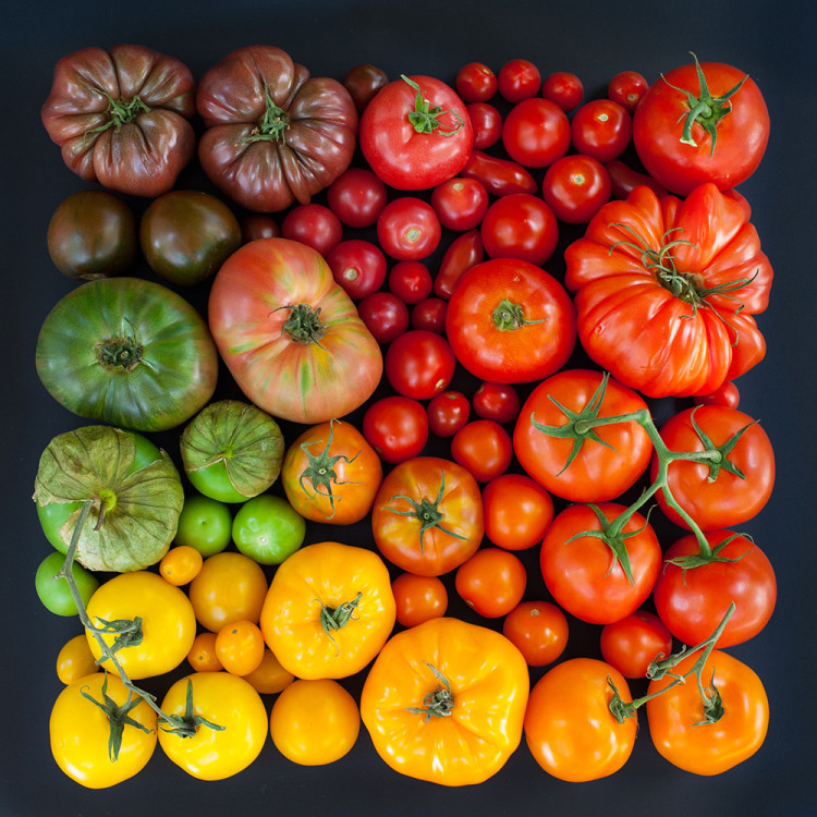 Natural and Edible Objects Arranged Neatly by Color