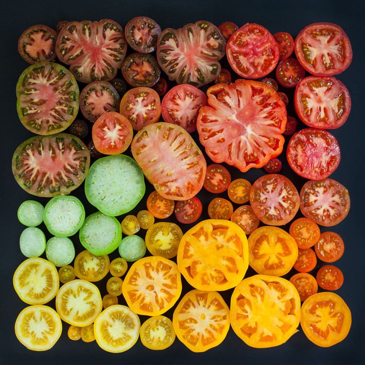 Natural and Edible Objects Arranged Neatly by Color