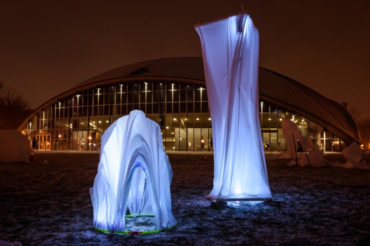 Forces Frozen Ice Fabric Structures