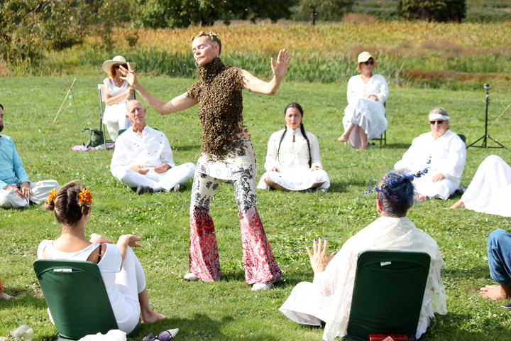 Dance-Bees.jpg?fit=720%2C480