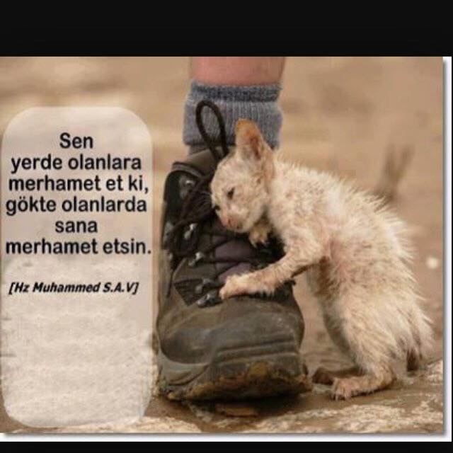 Have-Mercy.jpg?fit=640%2C640