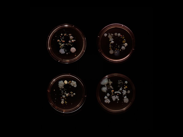 SubvisualSubway_BDFM_1500px.jpg?w=750&fi