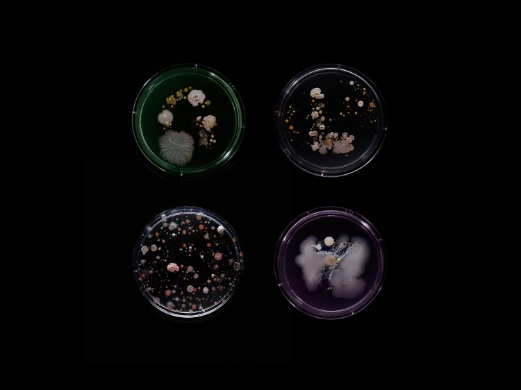 SubvisualSubway_GLS7_1500px.jpg?w=750&fi