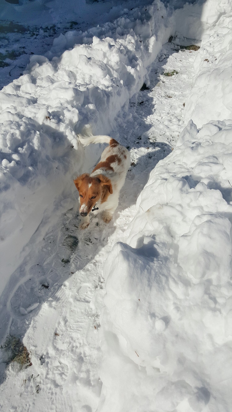 in-Maze.jpg?fit=750%2C1333