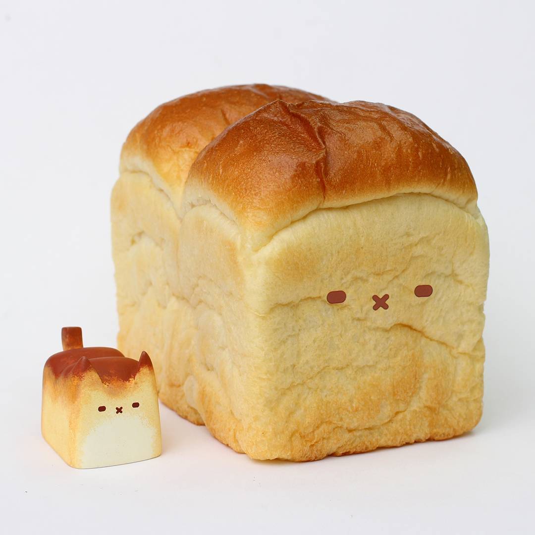 bread cat plush