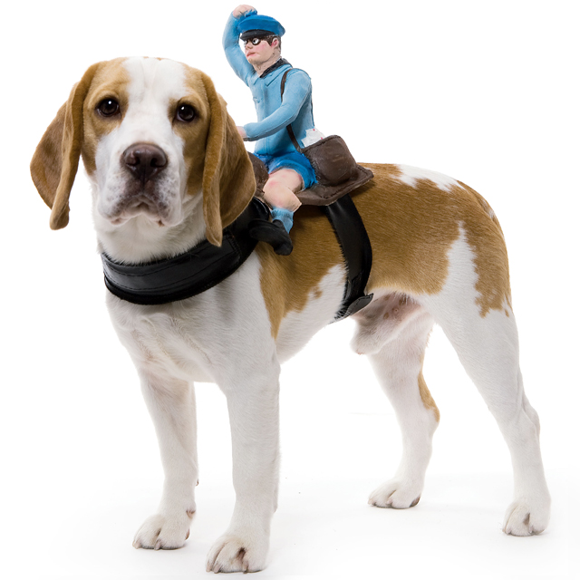 Dog Riders Mailman Costume