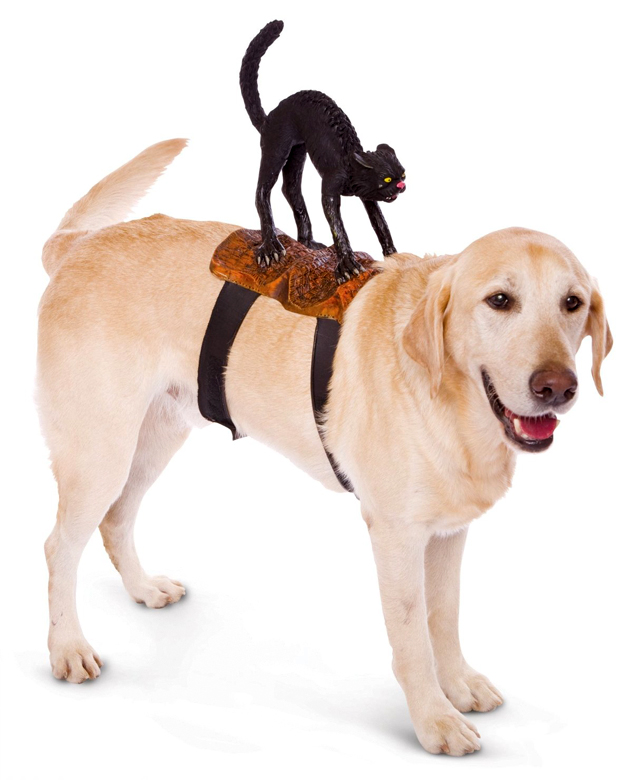 Dog Riders Cat Costume