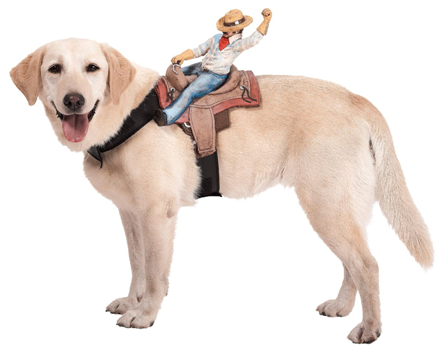 Dog Riders Cowboy Costume