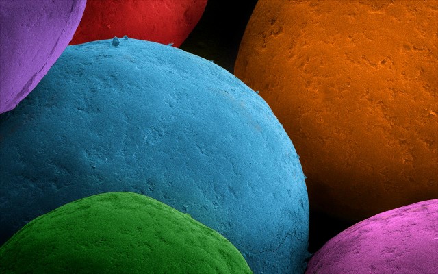 Electron Microscope Food Photos by Caren Alpert Electron Microscope Food Photos by Caren Alpert