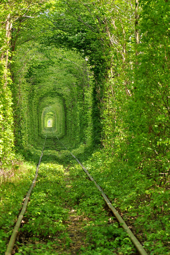 Tunnel of love photos by Oleg Gordienko