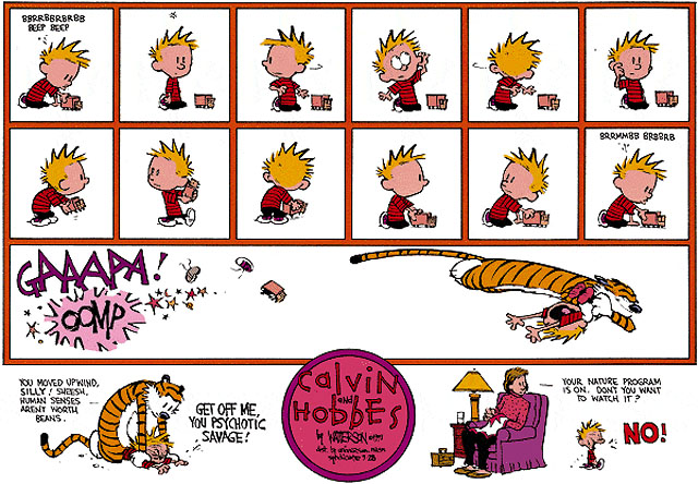 Calvin-And-Hobbes.jpg