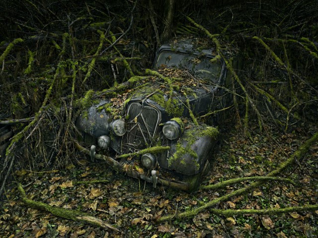 Paradise Parking by Peter Lippmann