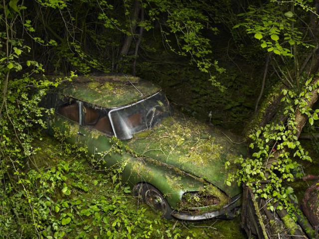 Paradise Parking by Peter Lippmann