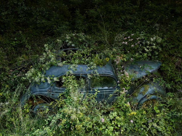 Paradise Parking by Peter Lippmann