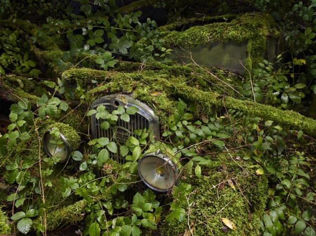 Paradise Parking by Peter Lippmann