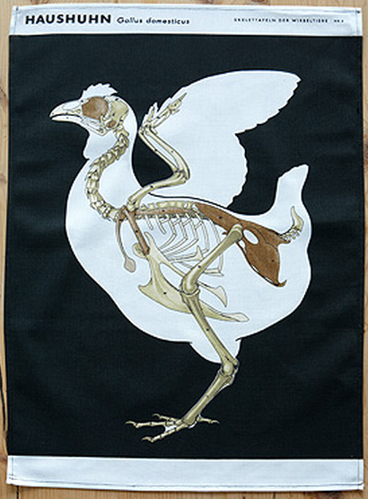 chicken skeleton tea towel