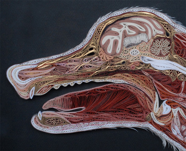 More Anatomical Paper Filigree Art by Lisa Nilsson