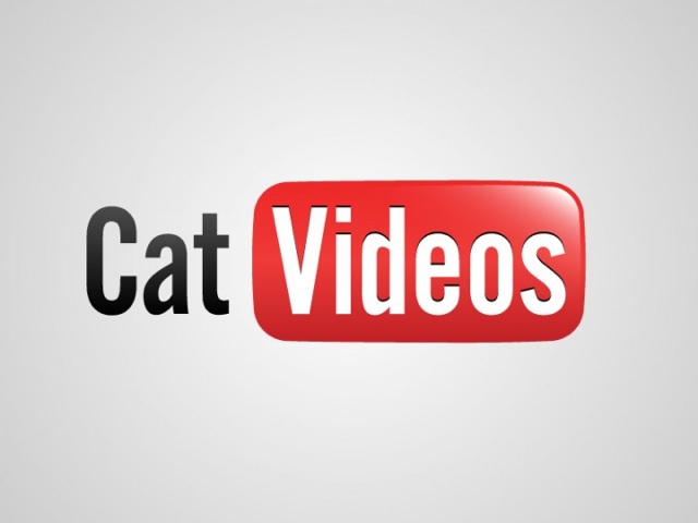 honest logos cat videos 640x480