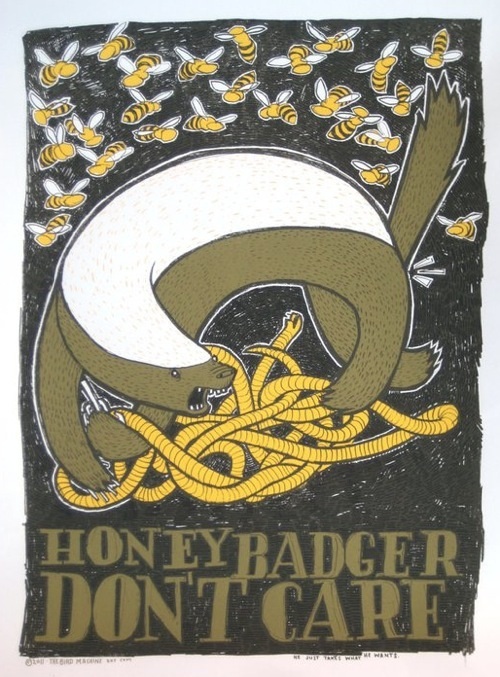 the honey badger randall. Honey Badger, one of the many