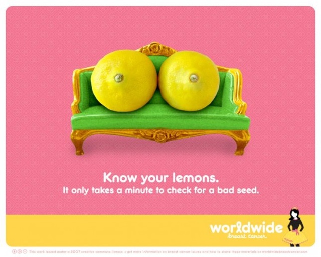 Know Your Lemons