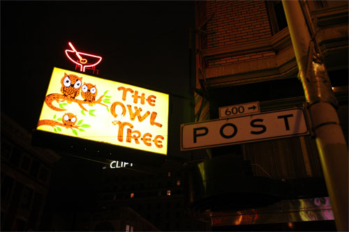 C Bobby's Owl Tree