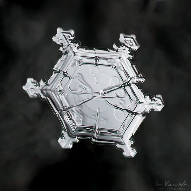 snowflake macro photography by Don Komarechka