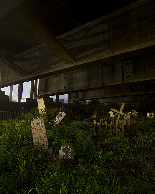 Night photos of the Presidio Pet Cemetery by Troy Paiva