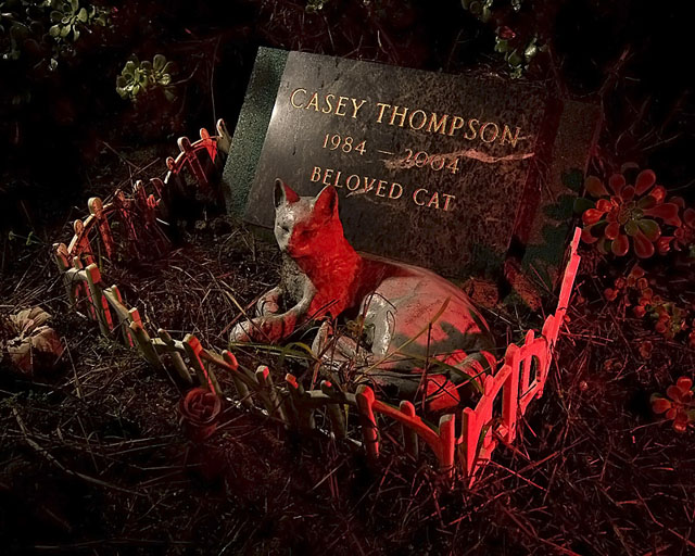 Night photos of the Presidio Pet Cemetery by Troy Paiva