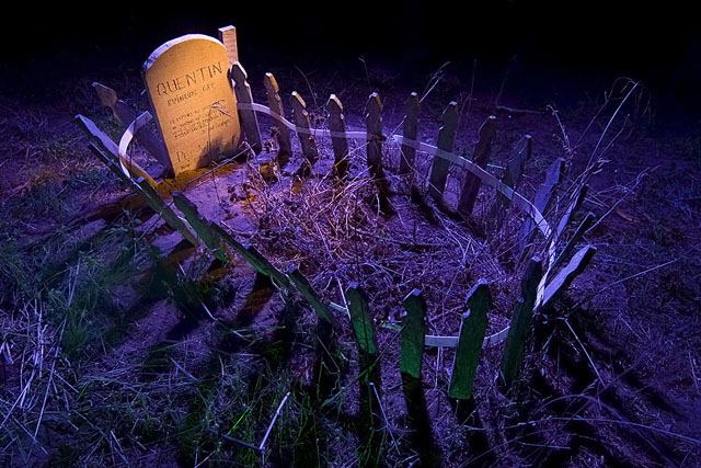 Night photos of the Presidio Pet Cemetery by Troy Paiva