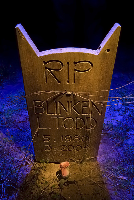 Night photos of the Presidio Pet Cemetery by Troy Paiva