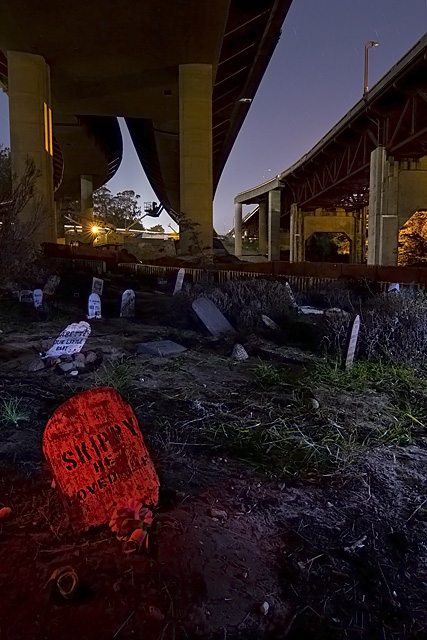 Night photos of the Presidio Pet Cemetery by Troy Paiva