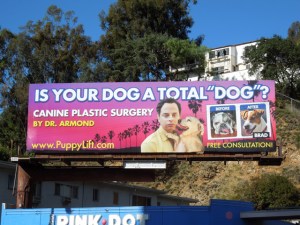 Canine Plastic Surgery