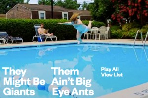Them Ain't Big Eye Ants