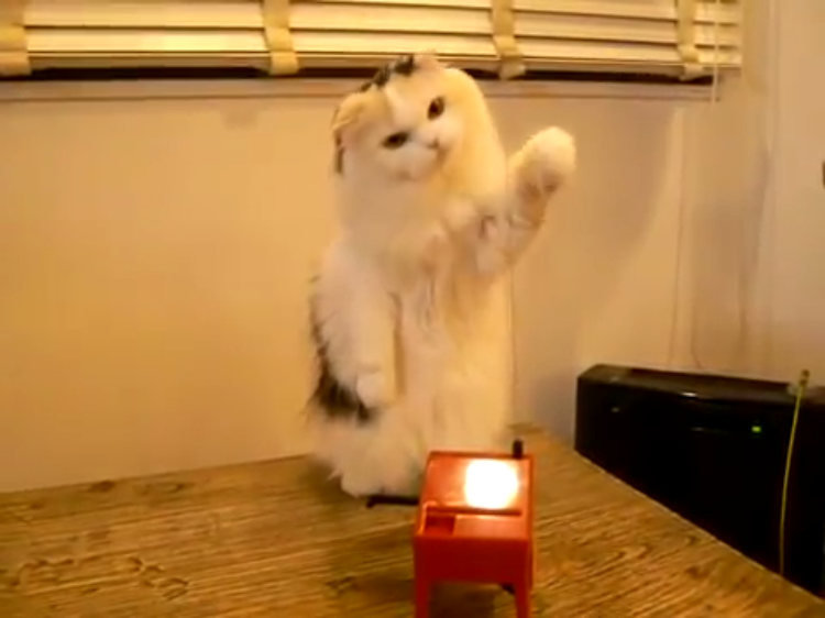 Cat Theremin