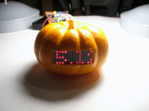 Stock Ticker Mini Pumpkin