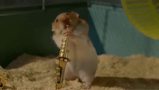 Hamster Band