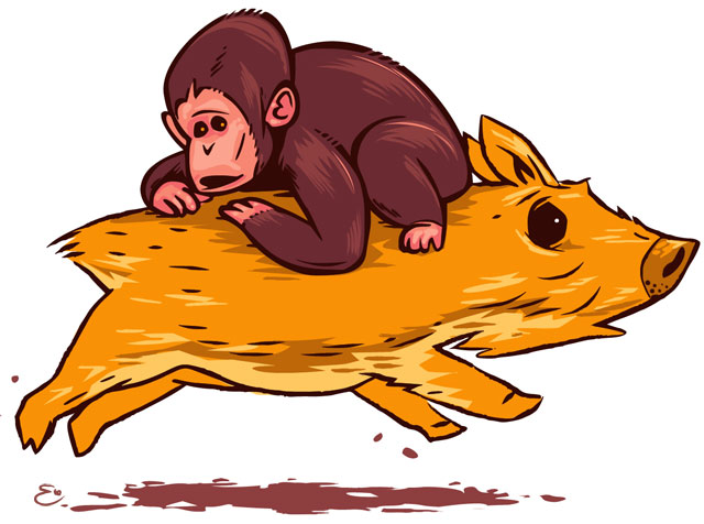 Baby Monkey Riding Backwards on a Pig