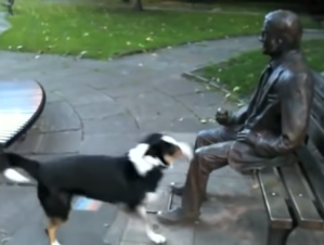 Dog Plays Fetch With Statue