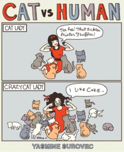 cat vs human